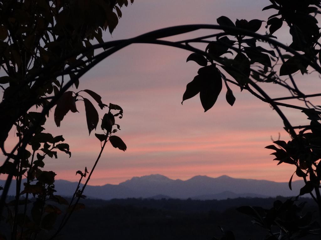 Maison Artigouha Bed & Breakfast Loubieng 외부 사진