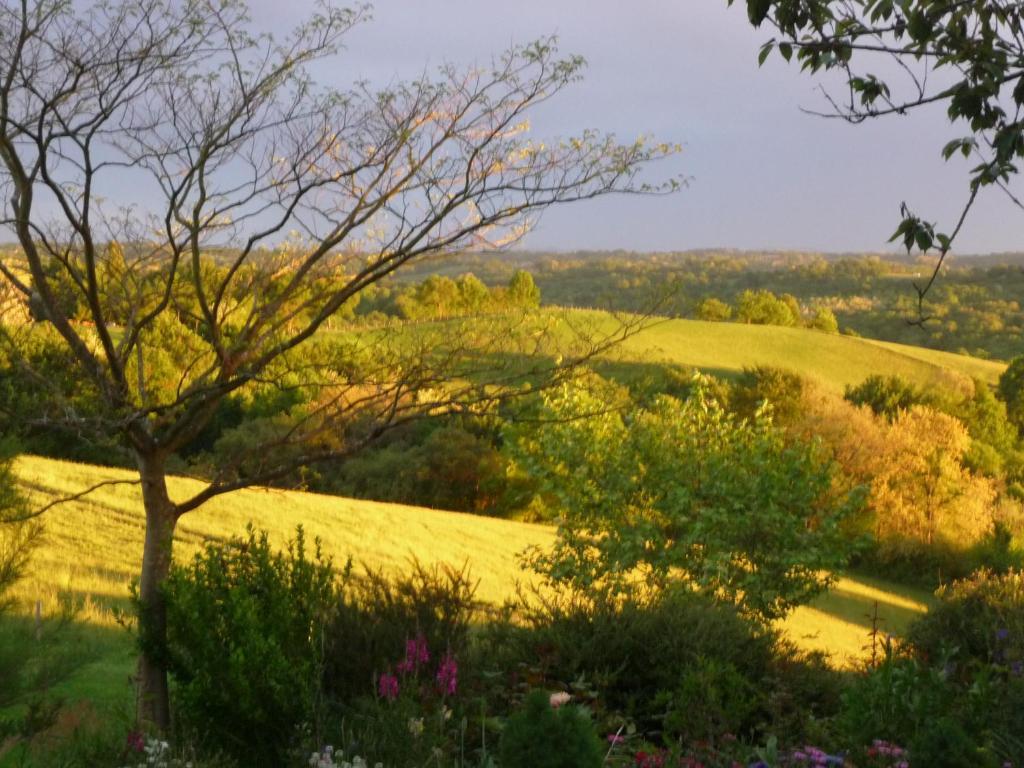 Maison Artigouha Bed & Breakfast Loubieng 외부 사진