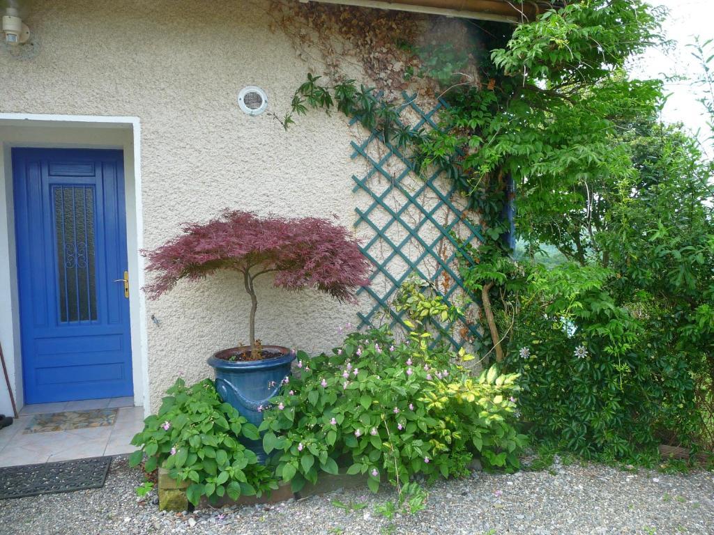 Maison Artigouha Bed & Breakfast Loubieng 외부 사진